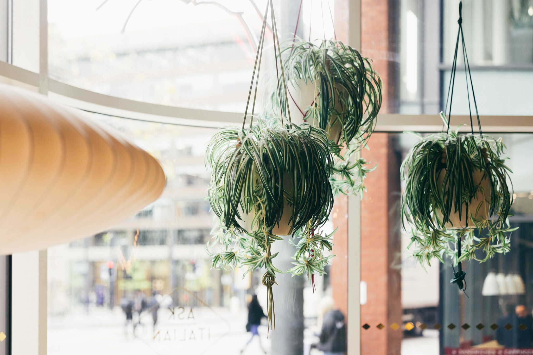 web__ask-italian-manchester-piccadilly_CLP_5512 