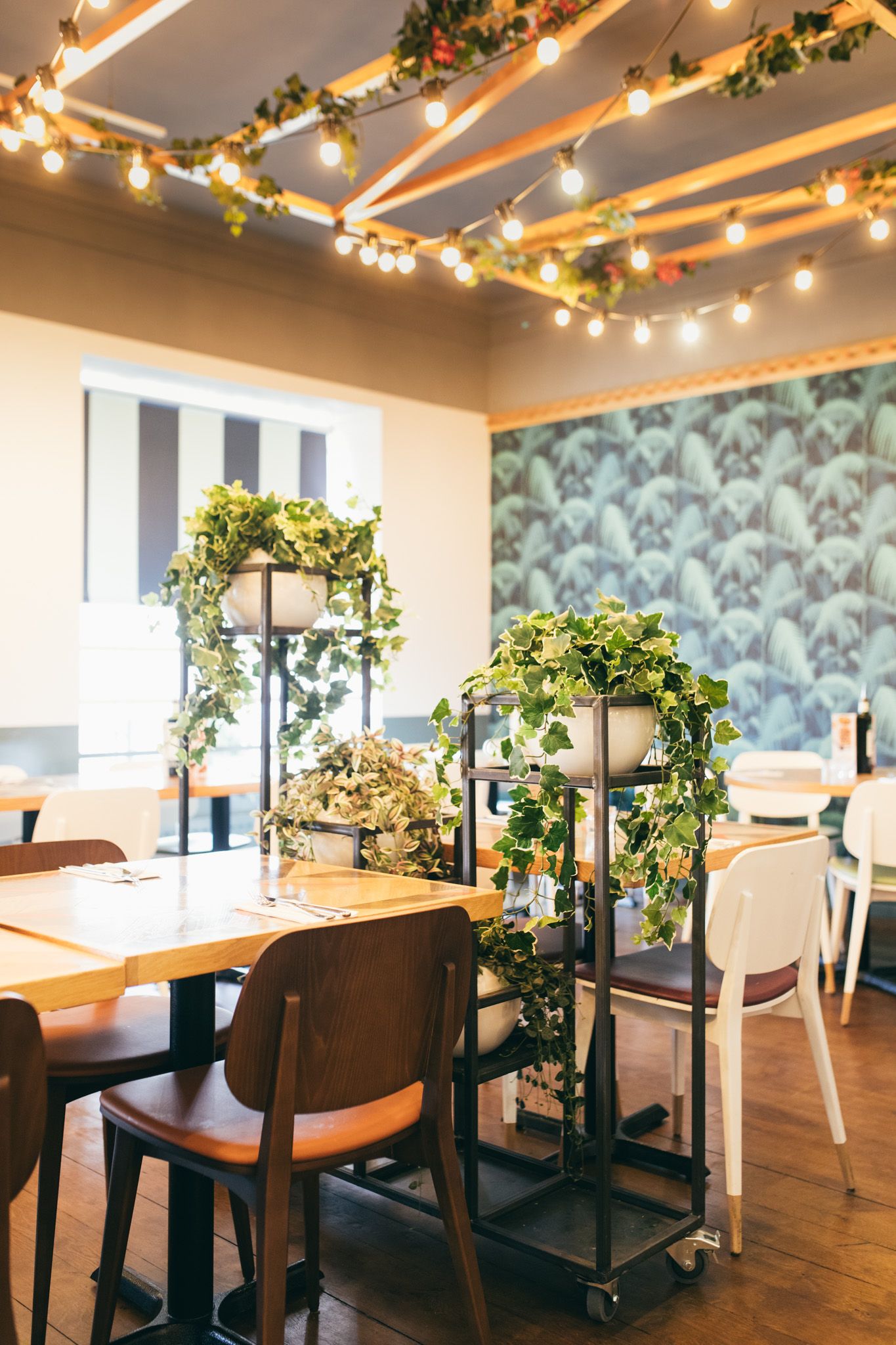 web__ask-italian-Shrewsbury-2018_8C1A6183 